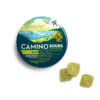 Camino-Bliss-Citrus-Punch-Gummies 10mg
