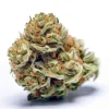 Skywalker-Kush