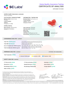 LAB Results Camino - 'Bliss' Watermelon Lemonade Gummies