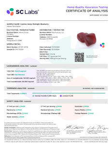 LAB Results Camino - 'Sleep' Midnight Blueberry Gummies