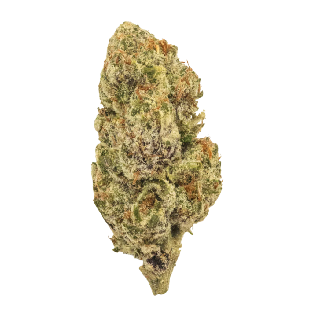 Second image of MaryJae - Colombian Gold (THCA)