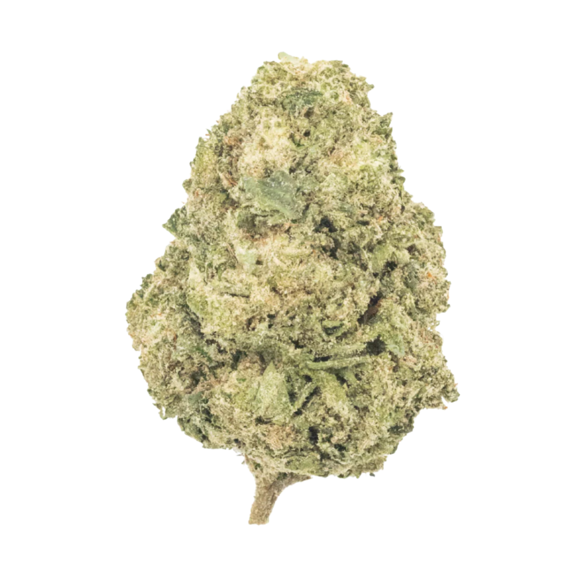 Second image of MaryJae - Key Lime Jack (THCA)