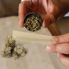 Mood - Pre-roll Papers 3